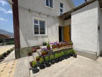 Dostuk - Ferienwohnung Naryn