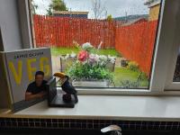 Cosy Authentic Home - Bed and Breakfast Belfast