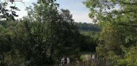 Un Cabanon en Provence - B&B