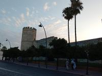 apartamento la damajuana - Chambres d’hôtes Xérès