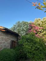 Marina Oasis Apartments - Bed and Breakfast Vlorë