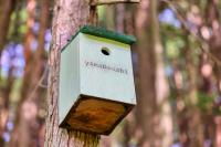 Altitude -アルティチュード-939 富士山の麓グランピング - B&B Fujiyoshida