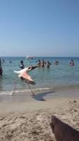 Agriturismo Le Mimose - Bed and Breakfast Arborea