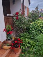 Agroturystyka u Agnieszki - Mazury - B&B Węgielsztyn
