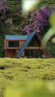 Nesli Villa & Bungalow-4 - B&B Yanıkdağ