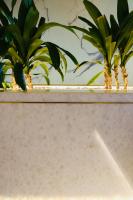 Camera Deluxe Matrimoniale con Vista Mare