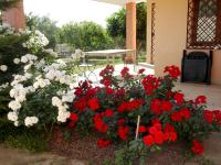 Villa Gabriella - B&B Villa San Pietro