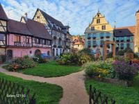 Le jardin - B&B Griesbach-au-Val