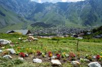 Cottage Mountain crystal kazbegi - Chambres d’hôtes Stepantsminda