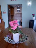 Villa Finca del Abuelo Carlos - B&B Arucas