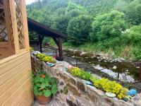 Podul De Brazi - Ferienwohnung Cârţişoara