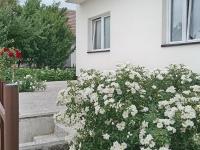 apartman Tomić - Ferienwohnung Glamoč