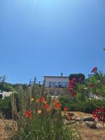 Apartman Alemka - B&B Iagnina