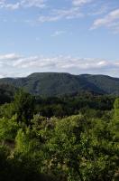 Levander 2 - B&B Králiky