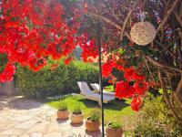 Corfu Glyfada Menigos Resort 45 - B&B Glyfada