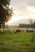 The Antidote Luxe Off-Grid Tiny Home Escape on Private Farm Stay - Chambres d’hôtes Farmeadow