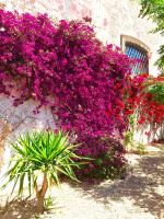 Il Torrino - B&B