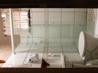 Suite Familiar con balcón