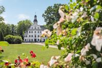 GUT KLETKAMP "Storchennest" - Ferienwohnung im Schlossturm mit 3 Schlafzimmern I Panorama-Turmzimmer mit Naturblick I Gemeinschaftsgarten I 15 Min zur Ostsee I Küche I Parkplatz I WLAN - Chambres d'hôtes Kletkamp