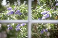 Skye Sands - Westview House - B&B