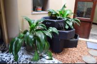 Tengo guest house - B&B Phalaborwa