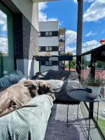Cashmere apartment in Žaliakalnis - B&B Kaunas