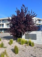 Apartament w Słupsku z klimatyzacją balkonem parkingiem - Ferienwohnung Stolp
