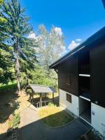 Entre amis-Résidence La Piste Bleue-Ski aux pieds - B&B Saint-Gervais-les-Bains