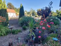 Ferienwohnung am Colditzer Forst - Ferienwohnung Colditz