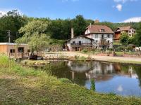 Aux Gîtes de l'Étang - Thannenkirch Bergheim - B&B