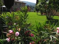 B&B Reggello - Podere Piana - Bed and Breakfast Reggello