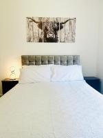 Cozy Room in Glasgow West End - B&B