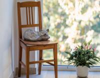 Apartment mit Aussicht und Balkon