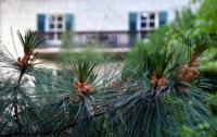 APARTMENT im garten 9 - B&B