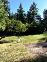 Redwood Castle 2 bed retreat - B&B