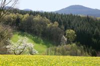 Schmalzerhisli - B&B