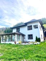 Casa Ovidiu - Bed and Breakfast Pojorâta