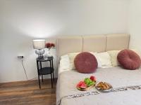 Appartamento con 1 Camera da Letto