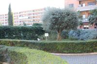 B&B le Pleiadi Aeroporto Fiumicino - B&B