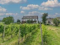 Weingut HermesLex - Bed and Breakfast Trittenheim