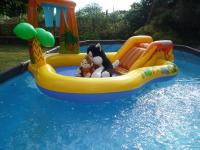 Giulio's Home - Ferienwohnung Cernobbio