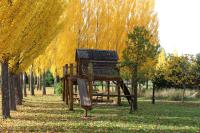 Two-Bedroom Bungalow