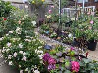 Bright 1-Bedroom Garden Suite, Sleeps 4, Near Downtown & YVR - B&B Vancouver