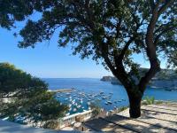 Oasi del Mare Pinna Nobilis - B&B Ponza