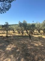 Magnifique appartement T3 rénové avec goût au coeur des vignes - B&B Cogolin