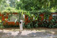 Nhà sàn Mường - B&B Ba Vì