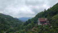 In the Forest - B&B Kvemo Joch’o