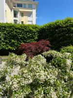 The Perfect Corner - Design Apartment & Garden - B&B Pordenone