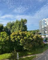 SulMare Apartament Nadmorski - B&B Gdansk