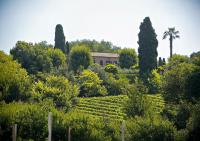 Villa Chloe - Luxury retreat - B&B Potenza Picena
